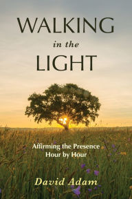 Title: Walking in the Light: Affirming the Presence Hour by Hour, Author: David Adam