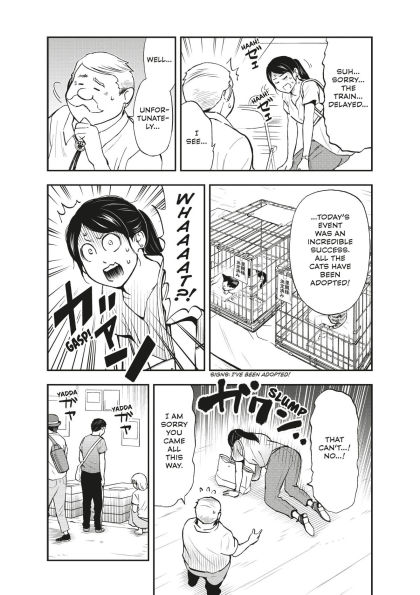 Cat + Gamer Volume 4