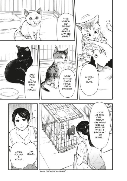 Cat + Gamer Volume 4