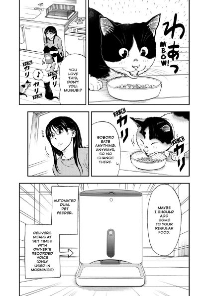 Cat + Gamer Volume 5