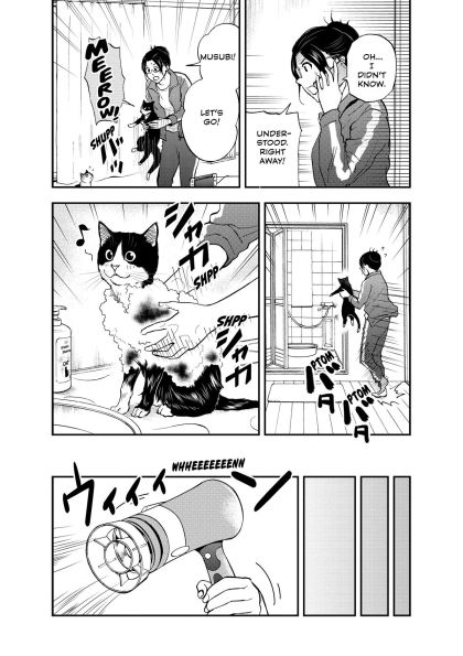 Cat + Gamer Volume 6