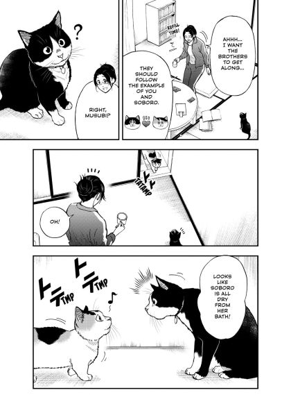 Cat + Gamer Volume 6