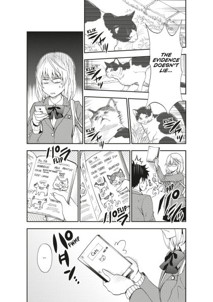 Cat + Crazy Volume 1