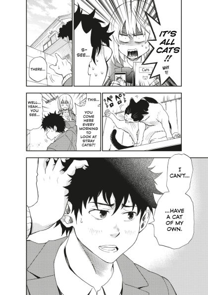 Cat + Crazy Volume 1