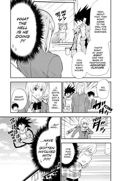 Cat + Crazy Volume 2