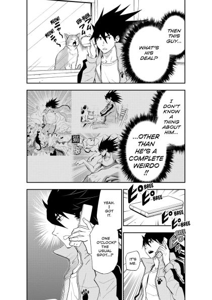 Cat + Crazy Volume 2