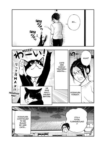 Cat + Gamer Volume 8