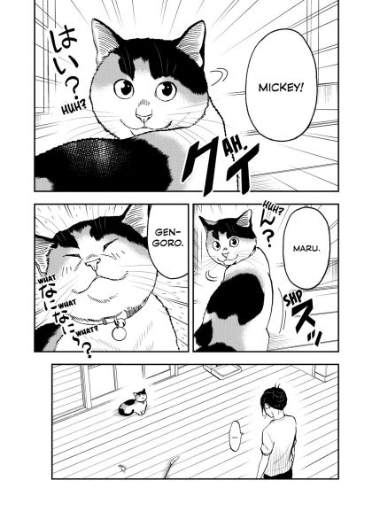 Cat + Gamer Volume 8