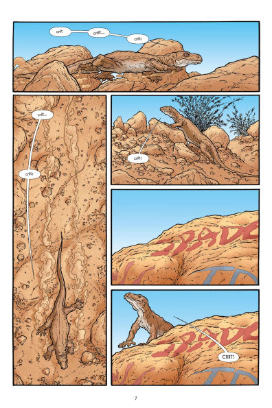 The Shaolin Cowboy: Beginning of the End Results--21 Years of Blood, Sweat, and Chainsaws