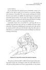 Alternative view 4 of Bushcraft First Aid: A Field Guide to Wilderness Emergency Care