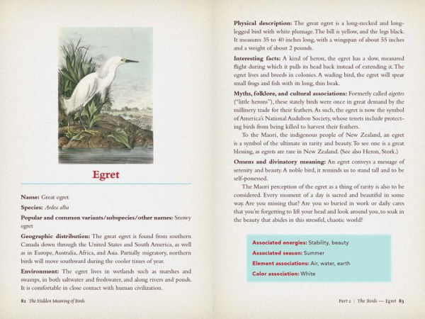 The Hidden Meaning of Birds--A Spiritual Field Guide: Explore the