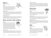 Alternative view 6 of The Modern Witchcraft Guide to Magickal Herbs: Your Complete Guide to the Hidden Powers of Herbs