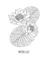 Alternative view 3 of Pisces: Your Cosmic Coloring Book: 24 Astrological Designs for Your Zodiac Sign!