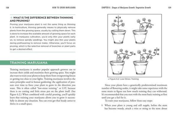 How to Grow Marijuana: The Easiest Guide to Growing Weed