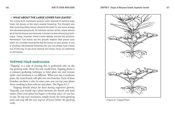 How to Grow Marijuana: The Easiest Guide to Growing Weed