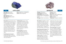 Alternative view 5 of Rockhounding for Beginners: Your Comprehensive Guide to Finding and Collecting Precious Minerals, Gems, Geodes, & More