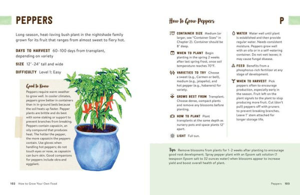 How to Grow Your Own Food: An Illustrated Beginner's Guide to Container Gardening