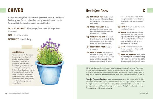 How to Grow Your Own Food: An Illustrated Beginner's Guide to Container Gardening