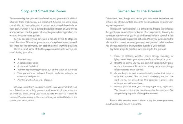 The Book of Patience: 250 Ways to a More Patient You