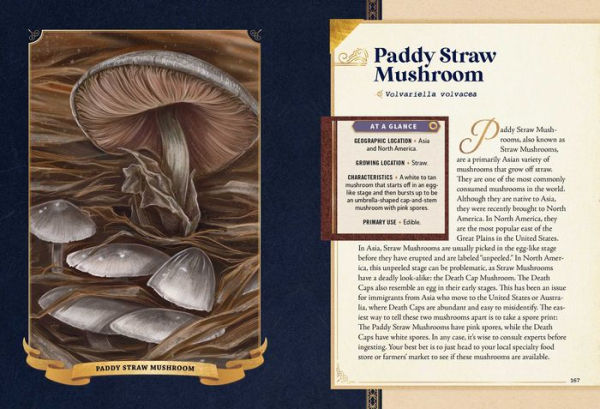 The Little Book of Mushrooms: An Illustrated Guide to the Extraordinary Power of Mushrooms