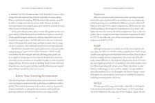 Alternative view 2 of The Green Witch's Garden Journal: From Herbs and Flowers to Mushrooms and Vegetables, Your Planner and Logbook for a Magical Garden