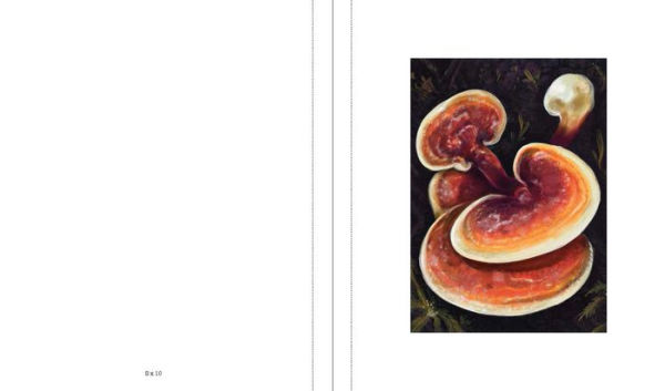 Instant Wall Art Enchanted Mushrooms: 45 Ready-to-Frame Illustrations for Your Home Décor