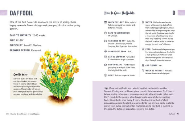 How to Grow Flowers Small Spaces: An Illustrated Guide Planning, Planting, and Caring for Your Space Flower Garden