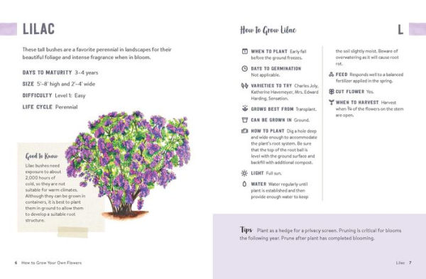 How to Grow Flowers Small Spaces: An Illustrated Guide Planning, Planting, and Caring for Your Space Flower Garden