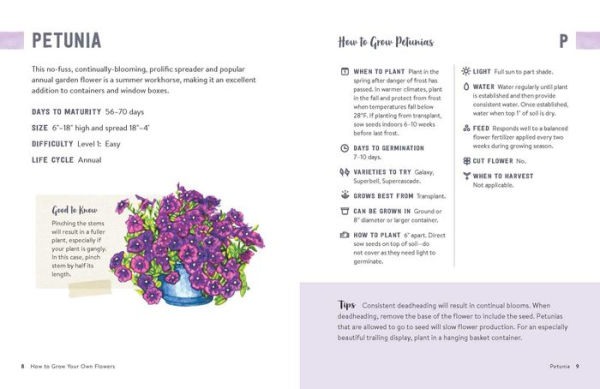 How to Grow Flowers Small Spaces: An Illustrated Guide Planning, Planting, and Caring for Your Space Flower Garden