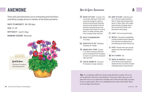 How to Grow Flowers Small Spaces: An Illustrated Guide Planning, Planting, and Caring for Your Space Flower Garden