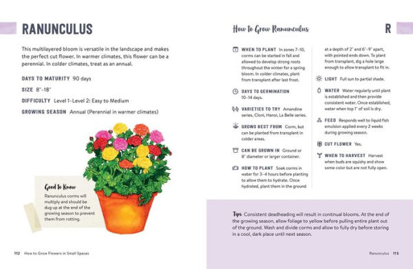 How to Grow Flowers Small Spaces: An Illustrated Guide Planning, Planting, and Caring for Your Space Flower Garden