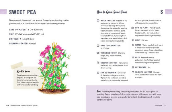 How to Grow Flowers Small Spaces: An Illustrated Guide Planning, Planting, and Caring for Your Space Flower Garden