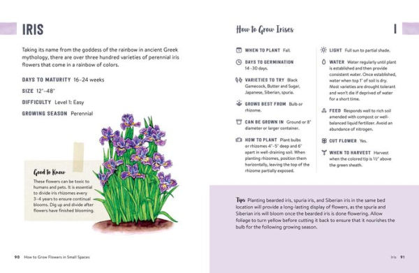 How to Grow Flowers Small Spaces: An Illustrated Guide Planning, Planting, and Caring for Your Space Flower Garden