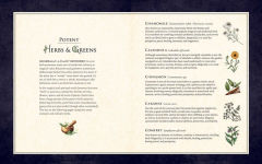 Alternative view 3 of The Green Witch Illustrated: An Enchanting Immersion Into the Magic of Natural Witchcraft
