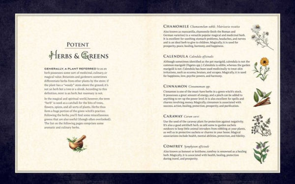 the Green Witch Illustrated: An Enchanting Immersion Into Magic of Natural Witchcraft