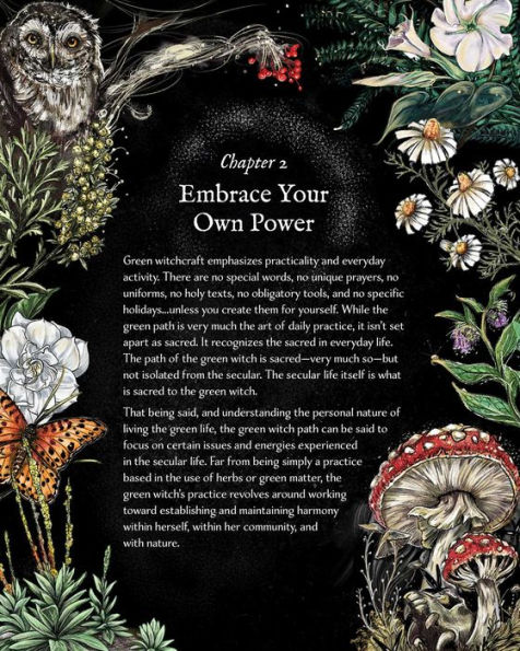 the Green Witch Illustrated: An Enchanting Immersion Into Magic of Natural Witchcraft