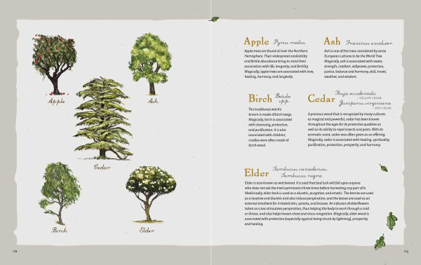 the Green Witch Illustrated: An Enchanting Immersion Into Magic of Natural Witchcraft
