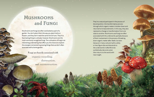 the Green Witch Illustrated: An Enchanting Immersion Into Magic of Natural Witchcraft