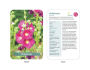 Alternative view 3 of The Flower Garden Deck: 50 Flower Cards to Help You Plan, Plant, and Care For the Perfect Garden!