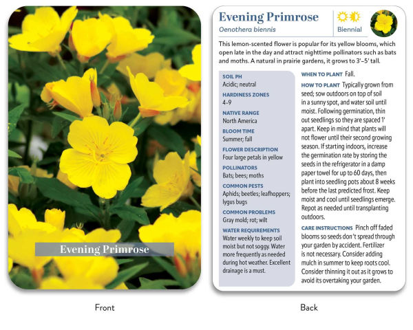 The Flower Garden Deck: 50 Flower Care Cards to Help You Plan, Plant, and Grow the Perfect Garden!