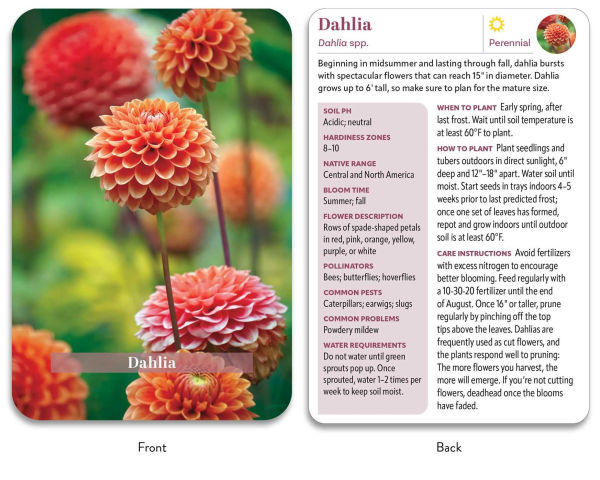 The Flower Garden Deck: 50 Flower Care Cards to Help You Plan, Plant, and Grow the Perfect Garden!