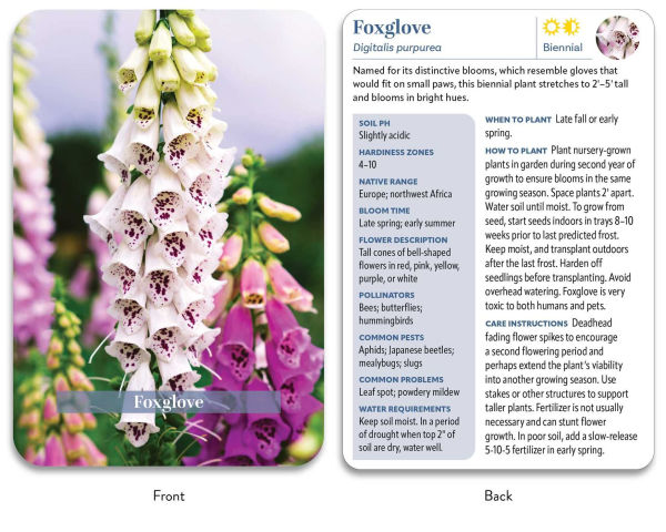 The Flower Garden Deck: 50 Flower Care Cards to Help You Plan, Plant, and Grow the Perfect Garden!