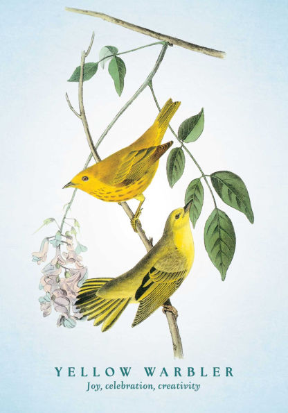 The Spiritual Meaning of Birds Oracle Deck: Discover the Wisdom & Insight of These Divine Winged Messengers