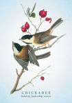 Alternative view 7 of The Spiritual Meaning of Birds Oracle Deck: Discover the Wisdom & Insight of These Divine Winged Messengers