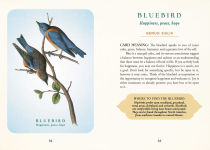 Alternative view 8 of The Spiritual Meaning of Birds Oracle Deck: Discover the Wisdom & Insight of These Divine Winged Messengers