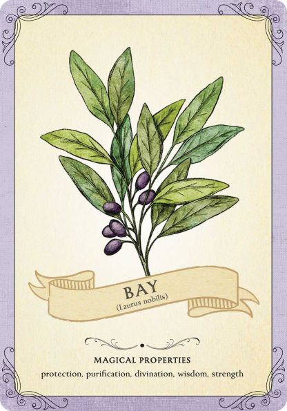 The Green Witch's Deck of Magical Herbalism: 50 of the Most Magical Plants, Herbs, and Flowers to Empower Your Craft