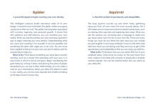 Alternative view 4 of The Book of Signs: 150 Symbols and Their Spiritual Messages from the Other Side