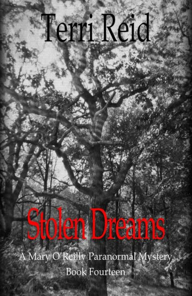 Stolen Dreams - A Mary O'Reilly Paranormal Mystery - Book Fourteen