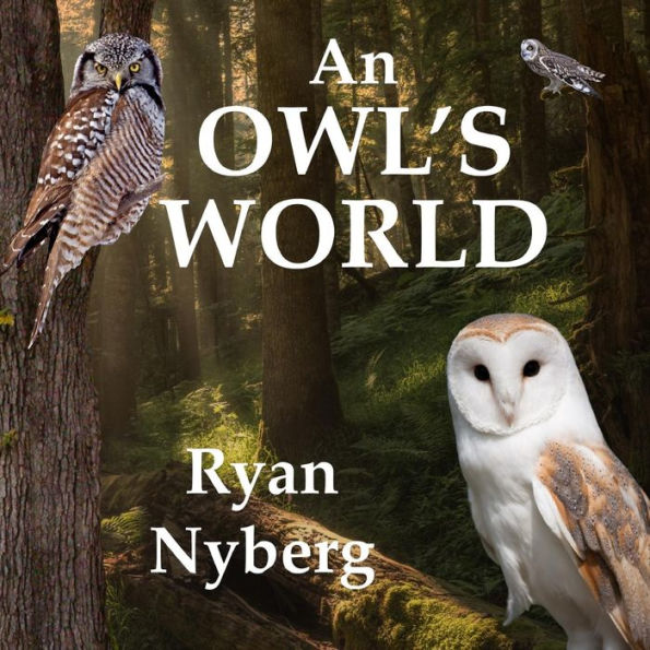 An Owl's World