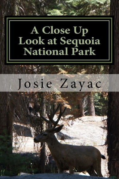 A Close Up Look at Sequoia National Park